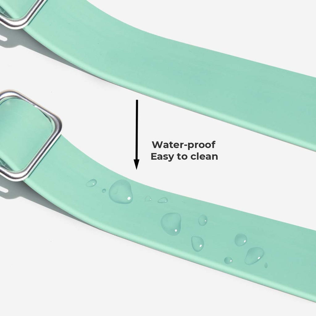 Gummy Walking Dog Leash