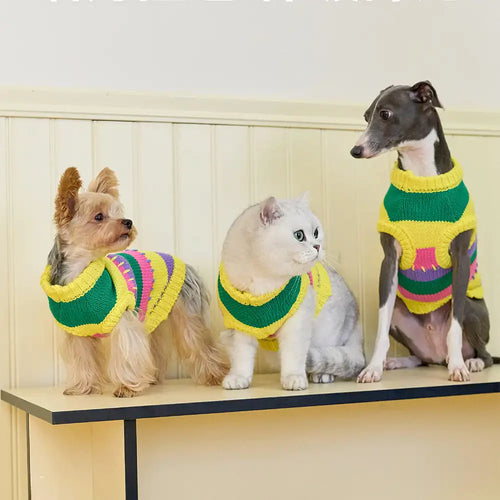 Farbig blockierter, gestreifter, ärmelloser Hundepullover für kleine Hunde