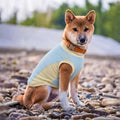 Kühlende Eisseide-Sonnenschutzweste für Hunde