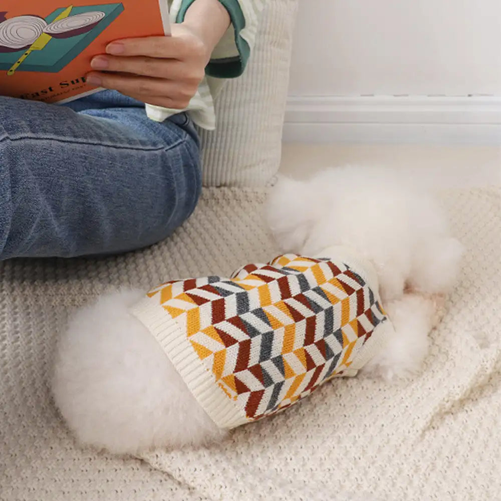 Diamond Striped Dog Sweater For Small Dogs