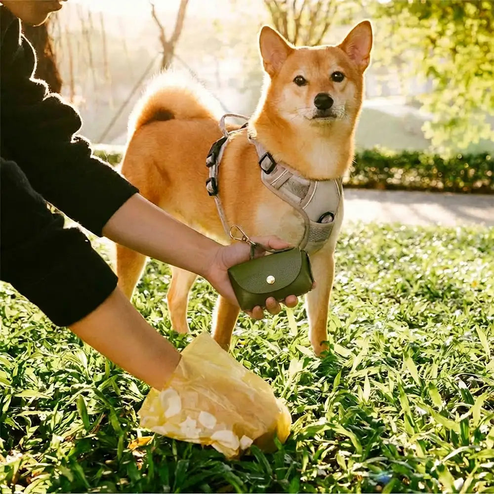 Hundekotbeutelspender aus Kunstleder im Handtaschen-Stil