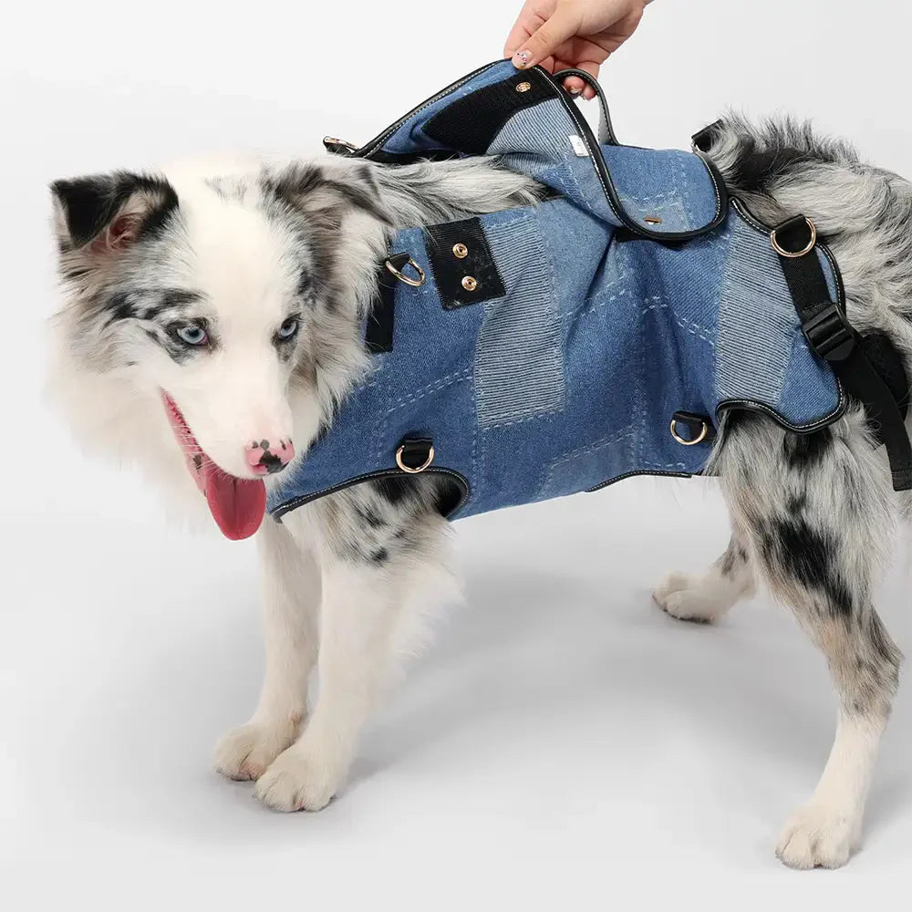 Hands-Free Dog Backpack Carrier for Travel & Hiking – Multifunctional Pack for Medium Dogs