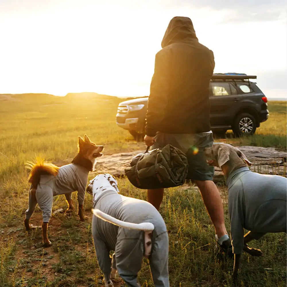Outdoor-Campingplatz, feuchtigkeitsdicht und wasserdicht, tragbare, faltbare Hundematte/-bett