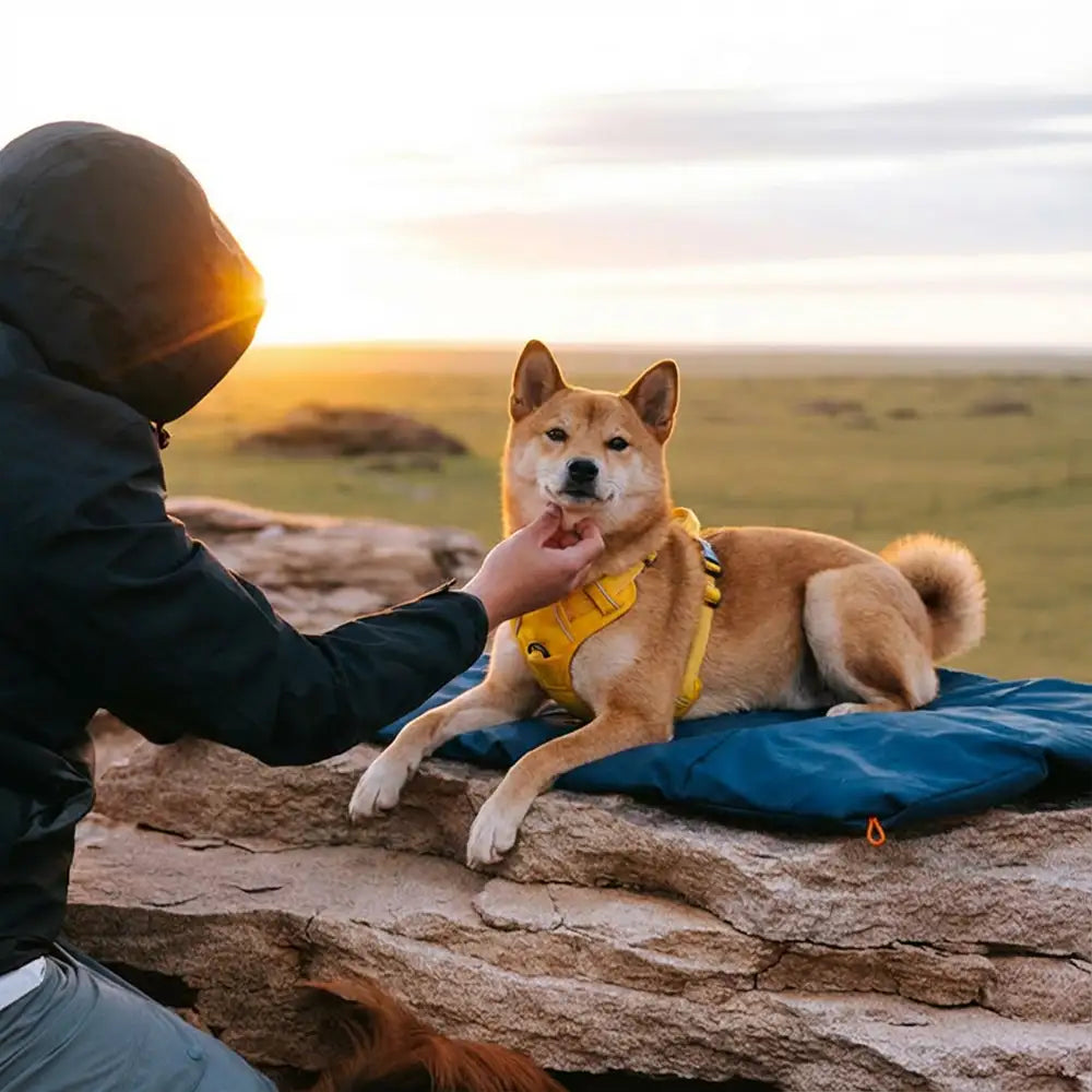 Outdoor Campsite Moisture-Proof And Waterproof Portable Foldable Dog Mat Bed