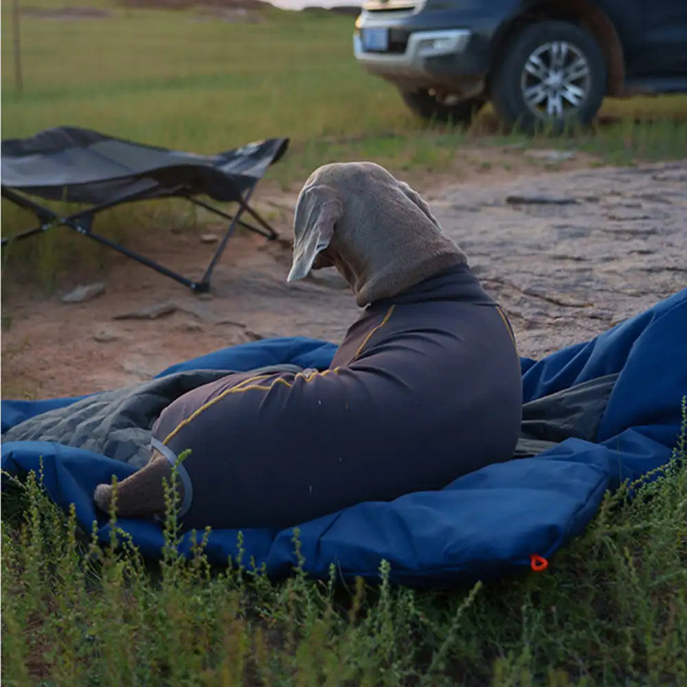 Outdoor Campsite Moisture-Proof And Waterproof Portable Foldable Dog Mat Bed