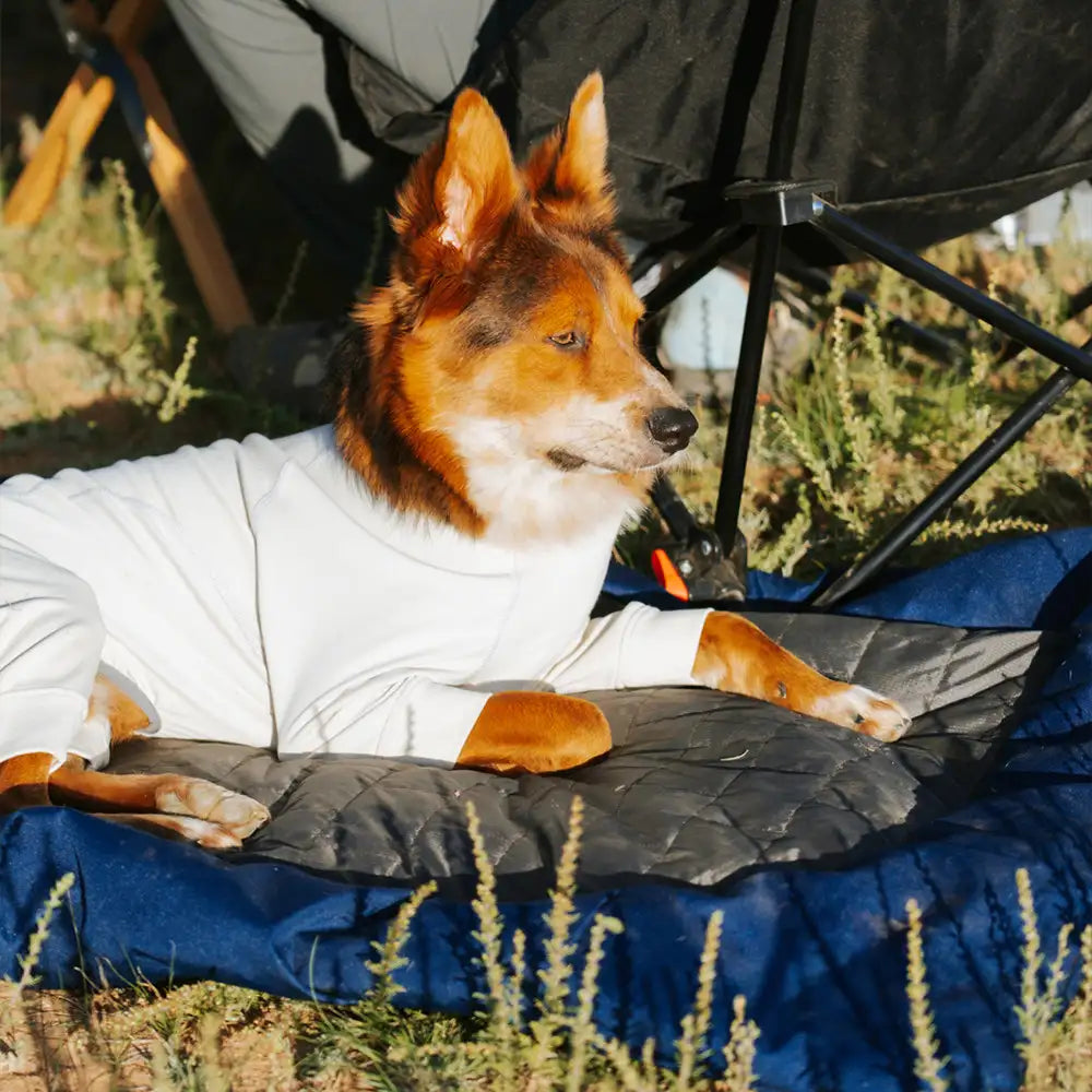 Outdoor-Campingplatz, feuchtigkeitsdicht und wasserdicht, tragbare, faltbare Hundematte/-bett