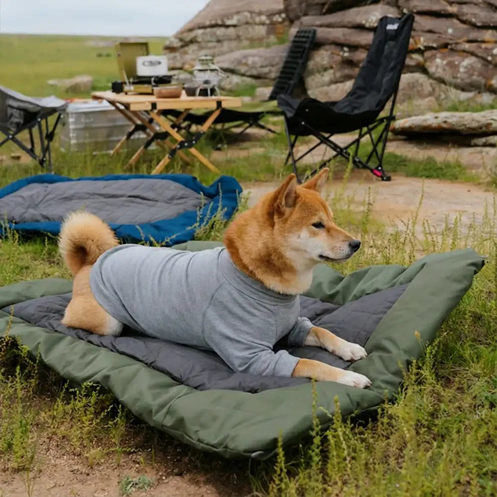 Outdoor-Campingplatz, feuchtigkeitsdicht und wasserdicht, tragbare, faltbare Hundematte/-bett