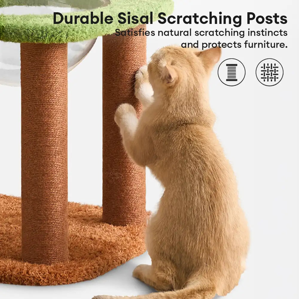 Playful Multi-Level Plush Activity Center  Cat Tree with Space Capsule