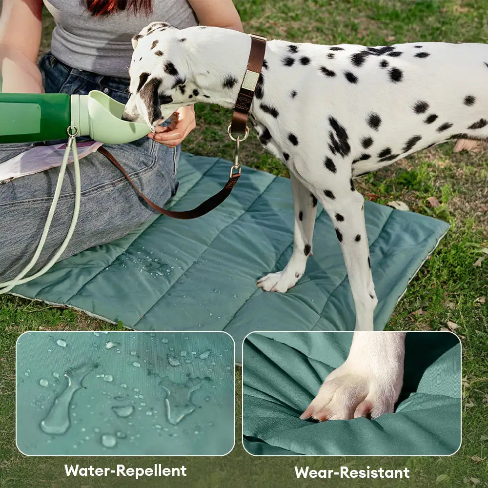 Tragbare, faltbare, doppelseitige, wasserabweisende Hundematte für Outdoor, Reisen & Camping