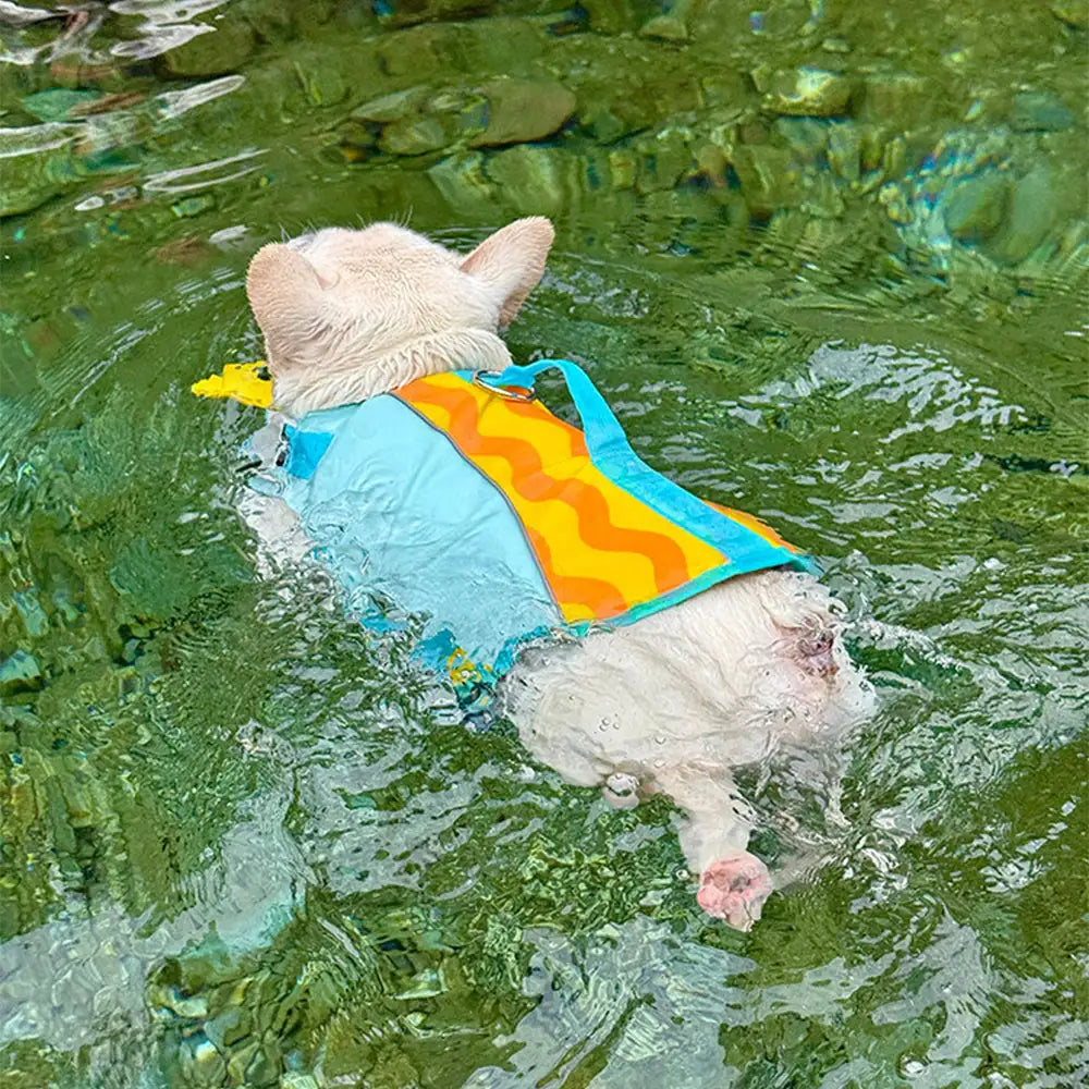 Stylische, farblich abgesetzte Hundeschwimmweste