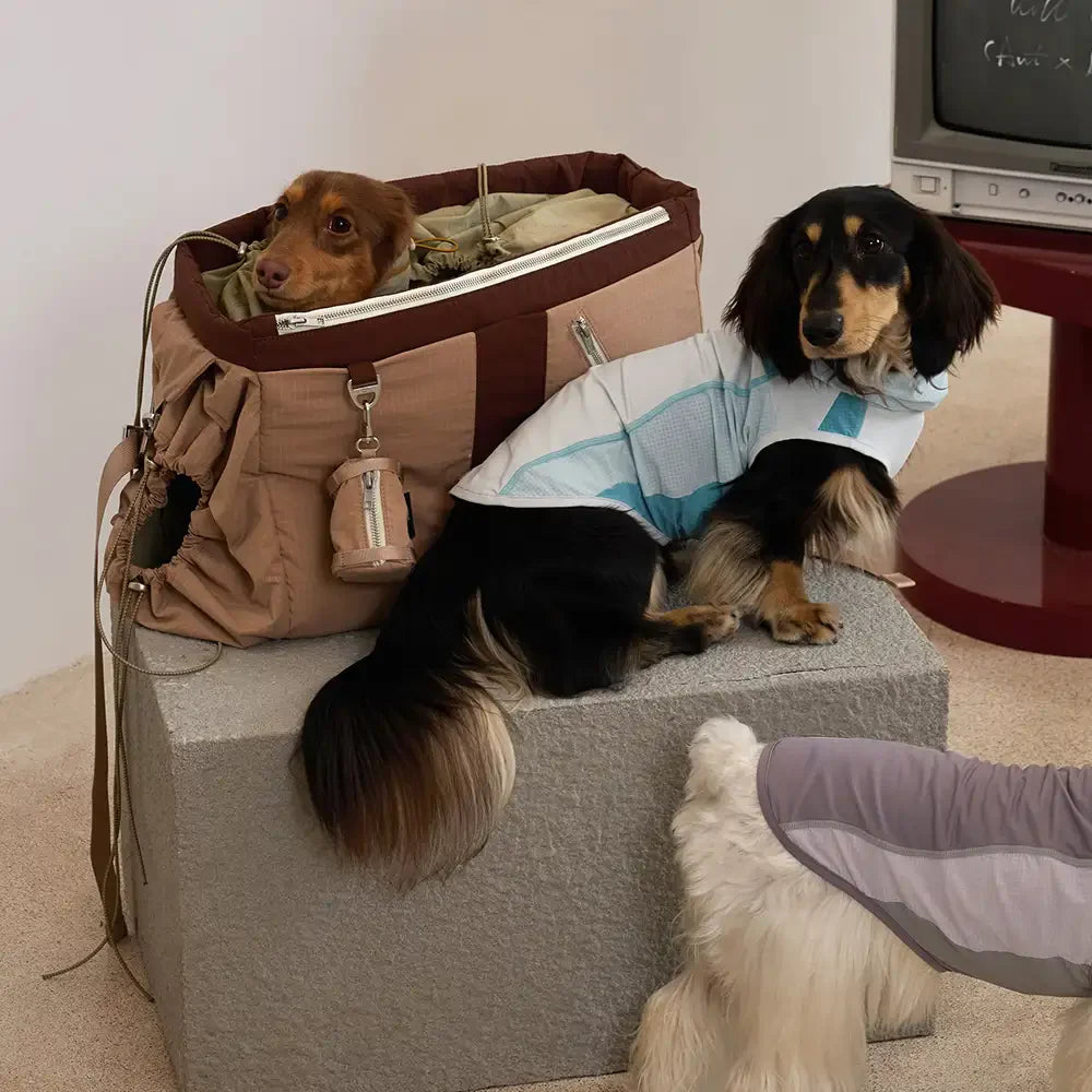 Vintage Breezy Outdoor Waterproof Dog Cat Carrier Large-Capacity Travel Pet Carrier Bag