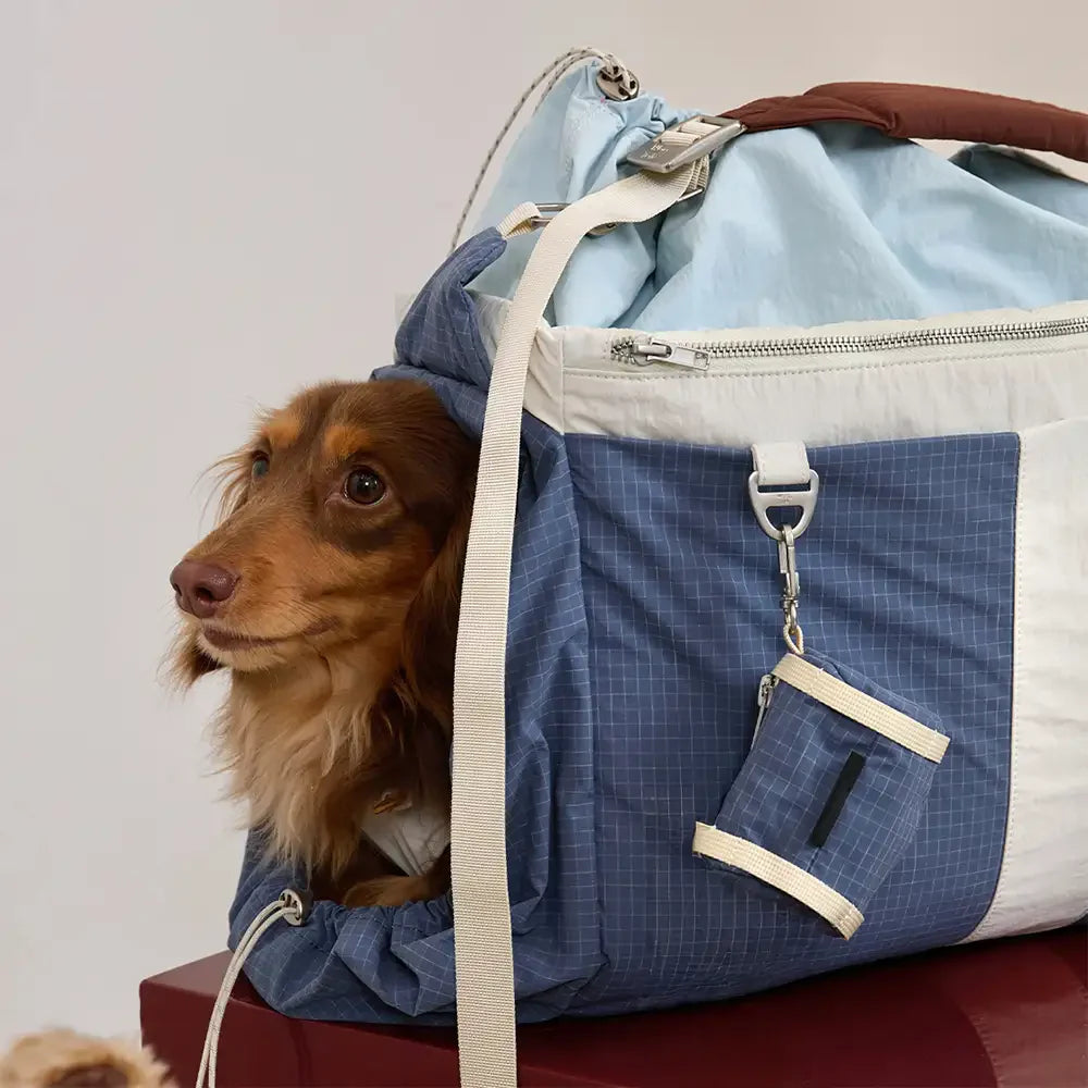 Vintage luftige wasserdichte Hunde- und Katzentragetasche für draußen, große Reise-Tiertransporttasche