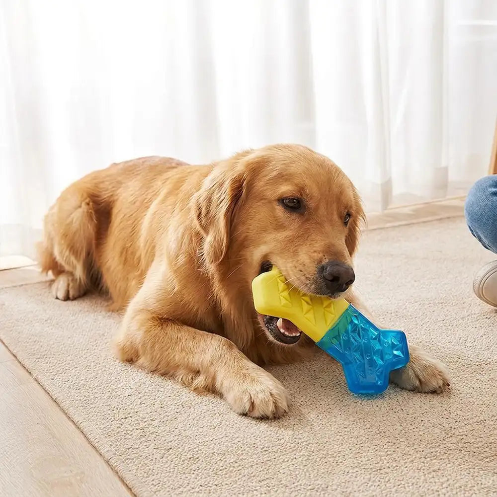 Wasserbefüllbares, einfrierbares kühlendes Beißspielzeug für Hunde