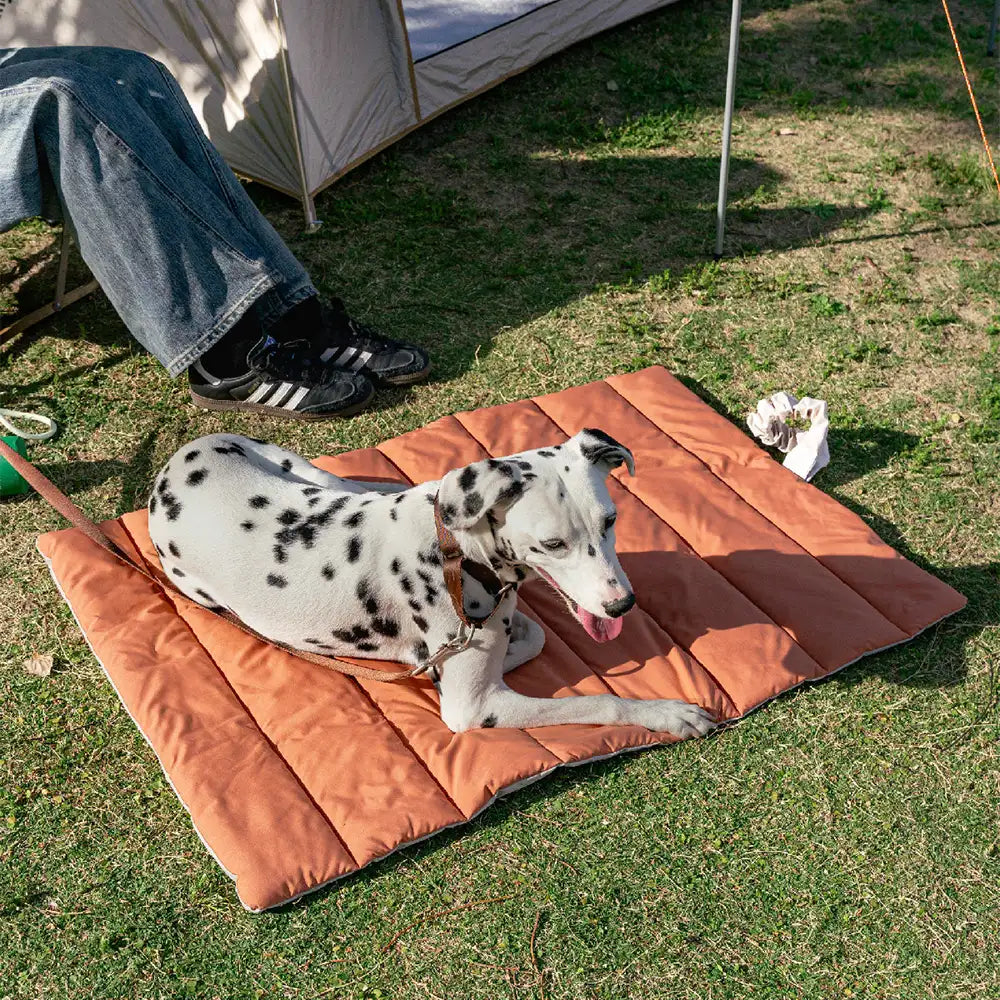 Tragbare, faltbare, doppelseitige, wasserabweisende Hundematte für Outdoor, Reisen & Camping
