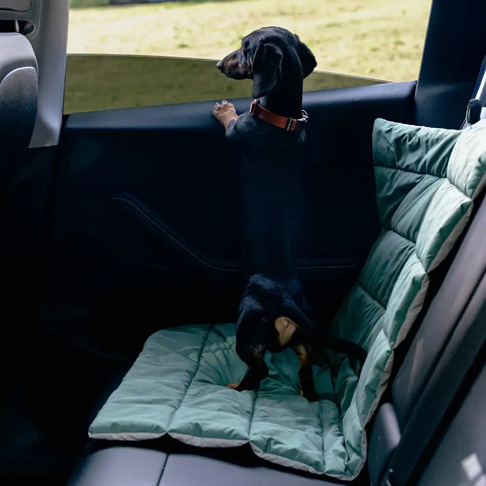 Tragbare, faltbare, doppelseitige, wasserabweisende Hundematte für Outdoor, Reisen & Camping