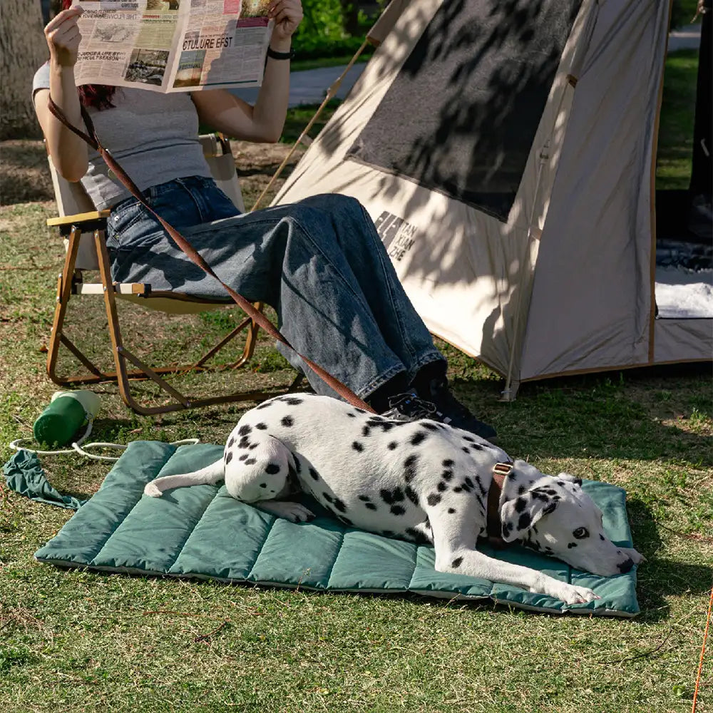 Tragbare, faltbare, doppelseitige, wasserabweisende Hundematte für Outdoor, Reisen & Camping