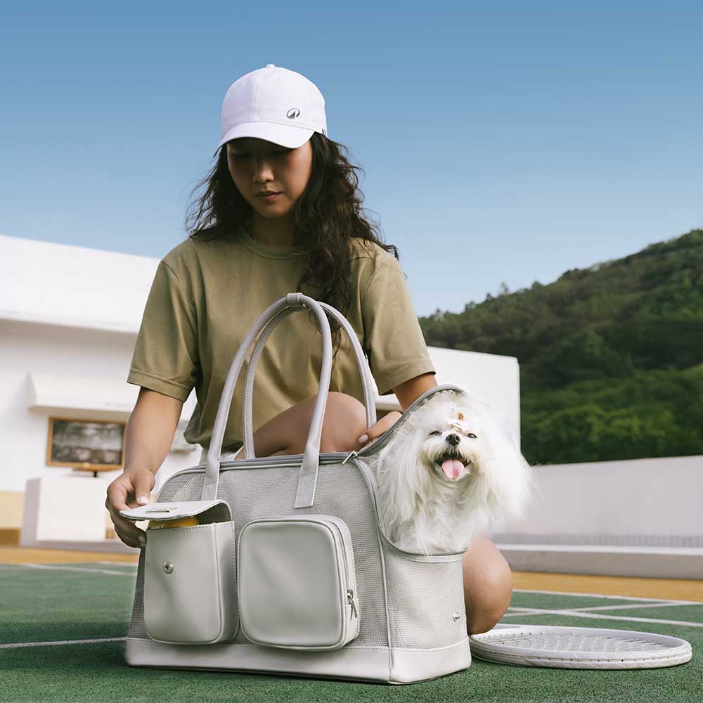 Lightweight Breathable Dog Cat Carrier Mesh Safe Pet Carrier - Urban Ease