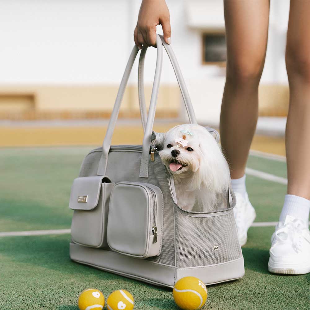 Lightweight Breathable Dog Cat Carrier Mesh Safe Pet Carrier - Urban Ease