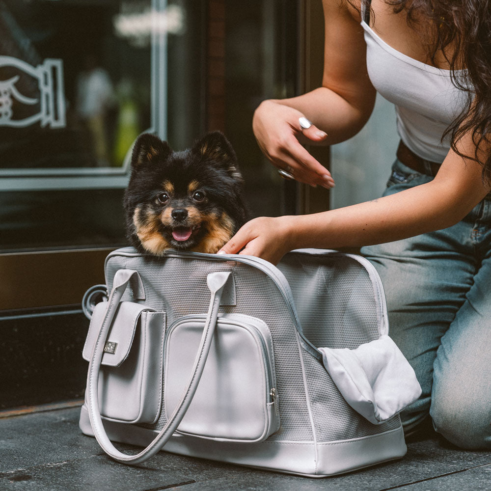 Lightweight Breathable Dog Cat Carrier Mesh Safe Pet Carrier - Urban Ease