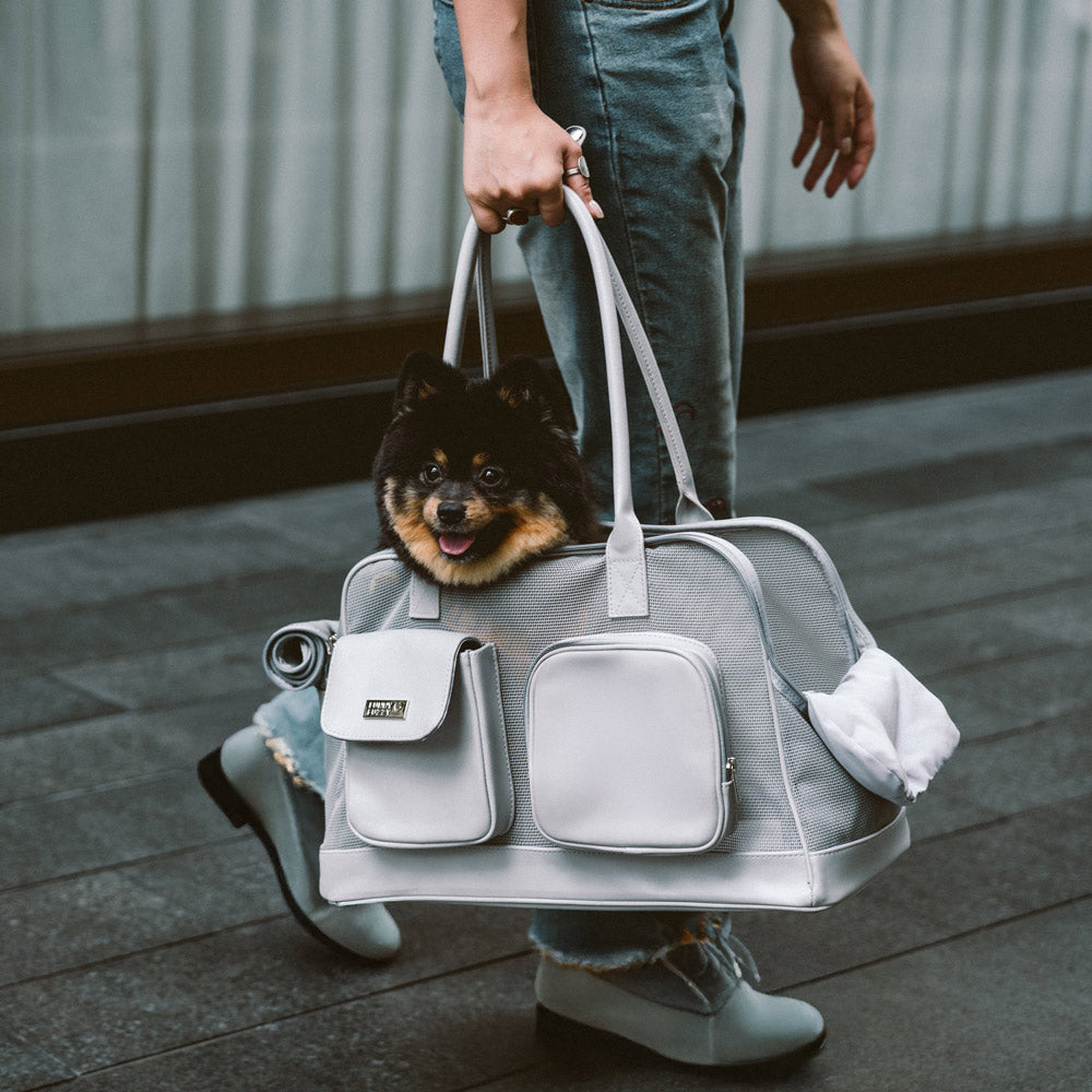 Lightweight Breathable Dog Cat Carrier Mesh Safe Pet Carrier - Urban Ease