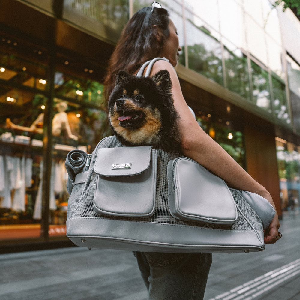 Lightweight Breathable Dog Cat Carrier Mesh Safe Pet Carrier - Urban Ease