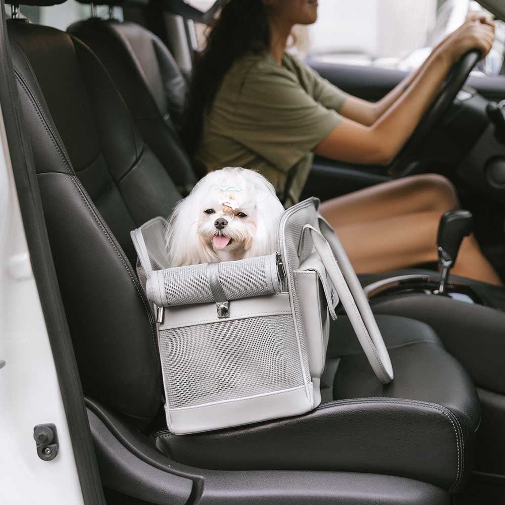 Lightweight Breathable Dog Cat Carrier Mesh Safe Pet Carrier - Urban Ease