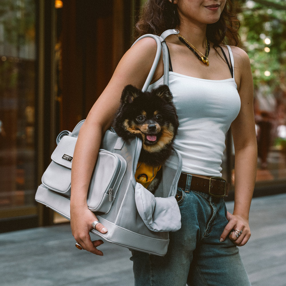 Lightweight Breathable Dog Cat Carrier Mesh Safe Pet Carrier - Urban Ease