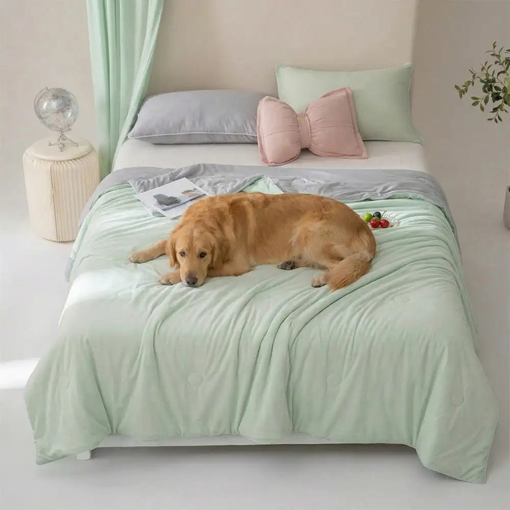 Leichte doppelseitige einfarbige kühlende Eisseide-Decke mit Kühleffekt