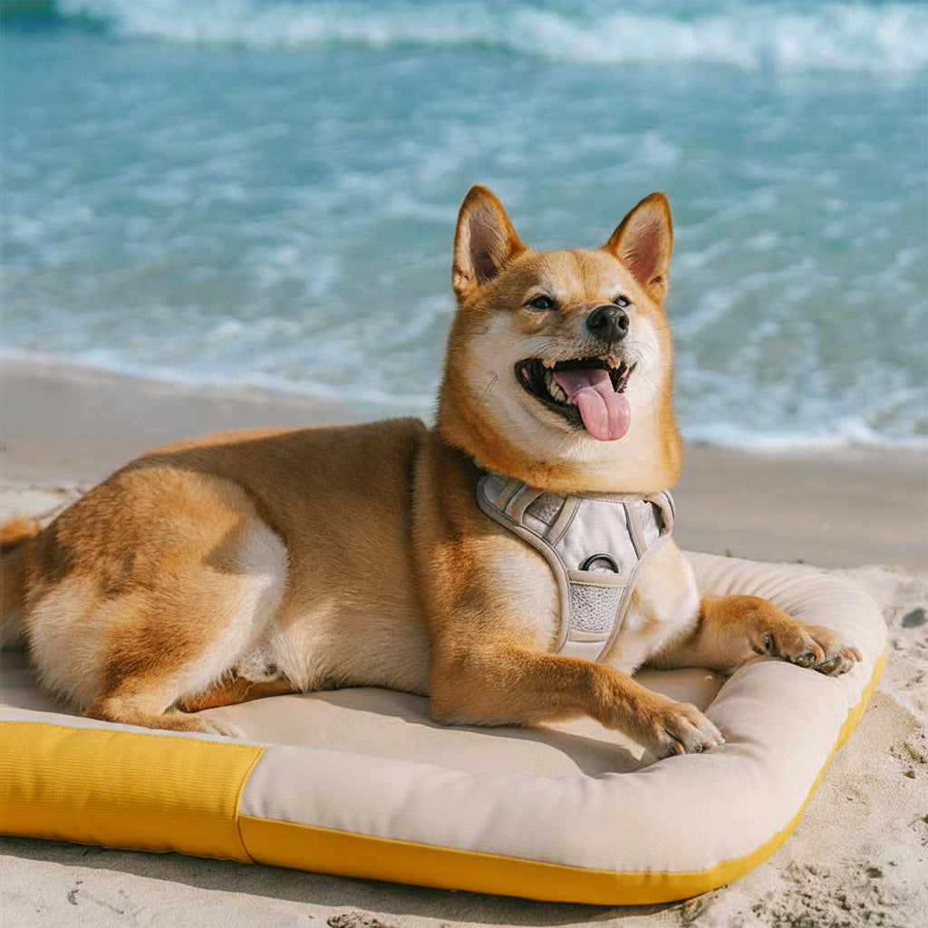 Outdoor Waterproof ＆ Chew-proof Memory Foam Orthopedic Dog Mat - Trek Lounge