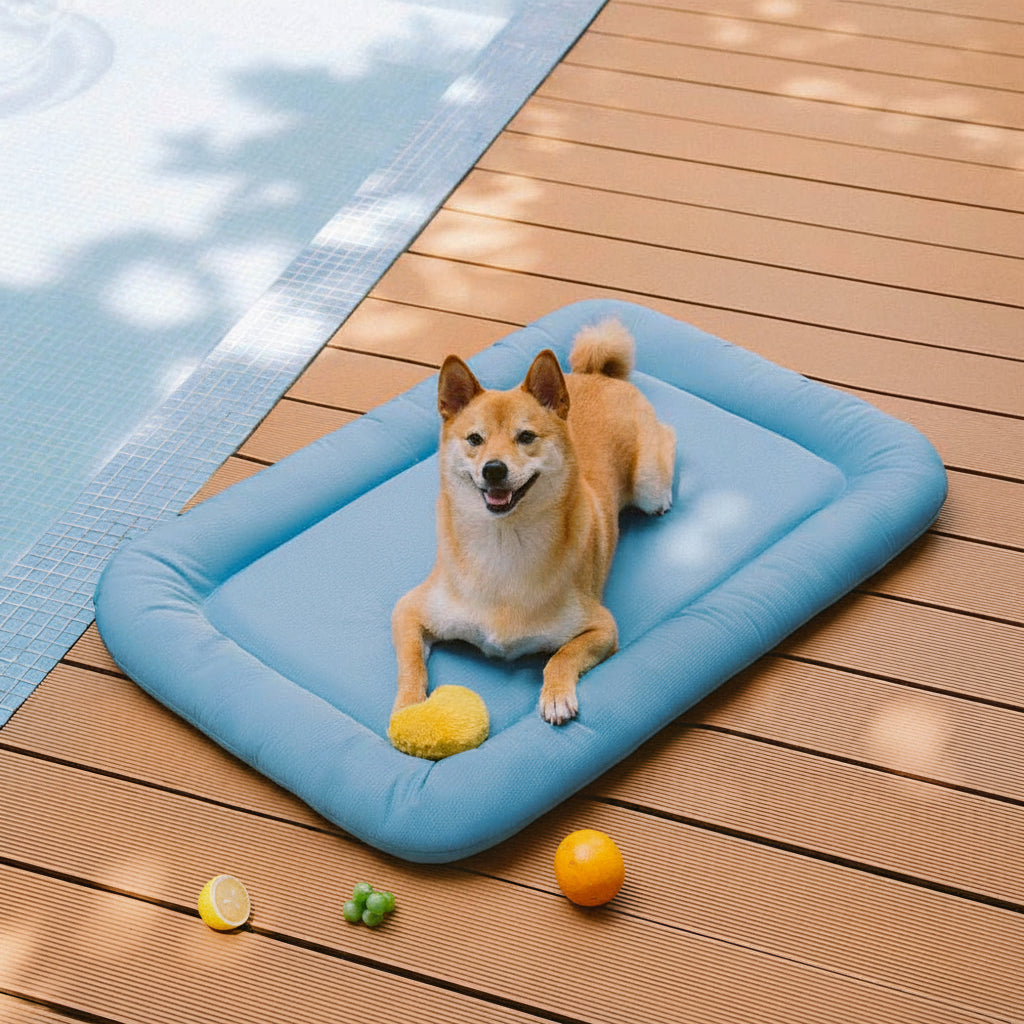 Outdoor Waterproof ＆ Chew-proof Memory Foam Orthopedic Dog Mat - Trek Lounge