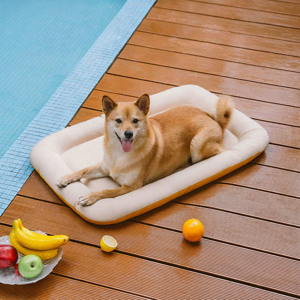 Outdoor Waterproof ＆ Chew-proof Memory Foam Orthopedic Dog Mat - Trek Lounge