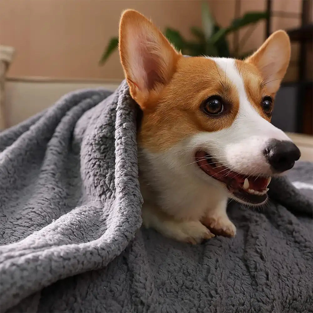 Polar Fleece Comfortable Warm Multifunctional Pet Blanket