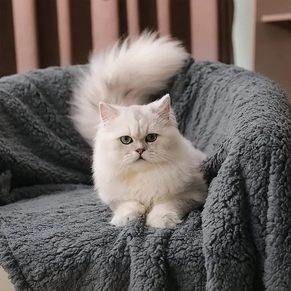 Polar Fleece Comfortable Warm Multifunctional Pet Blanket