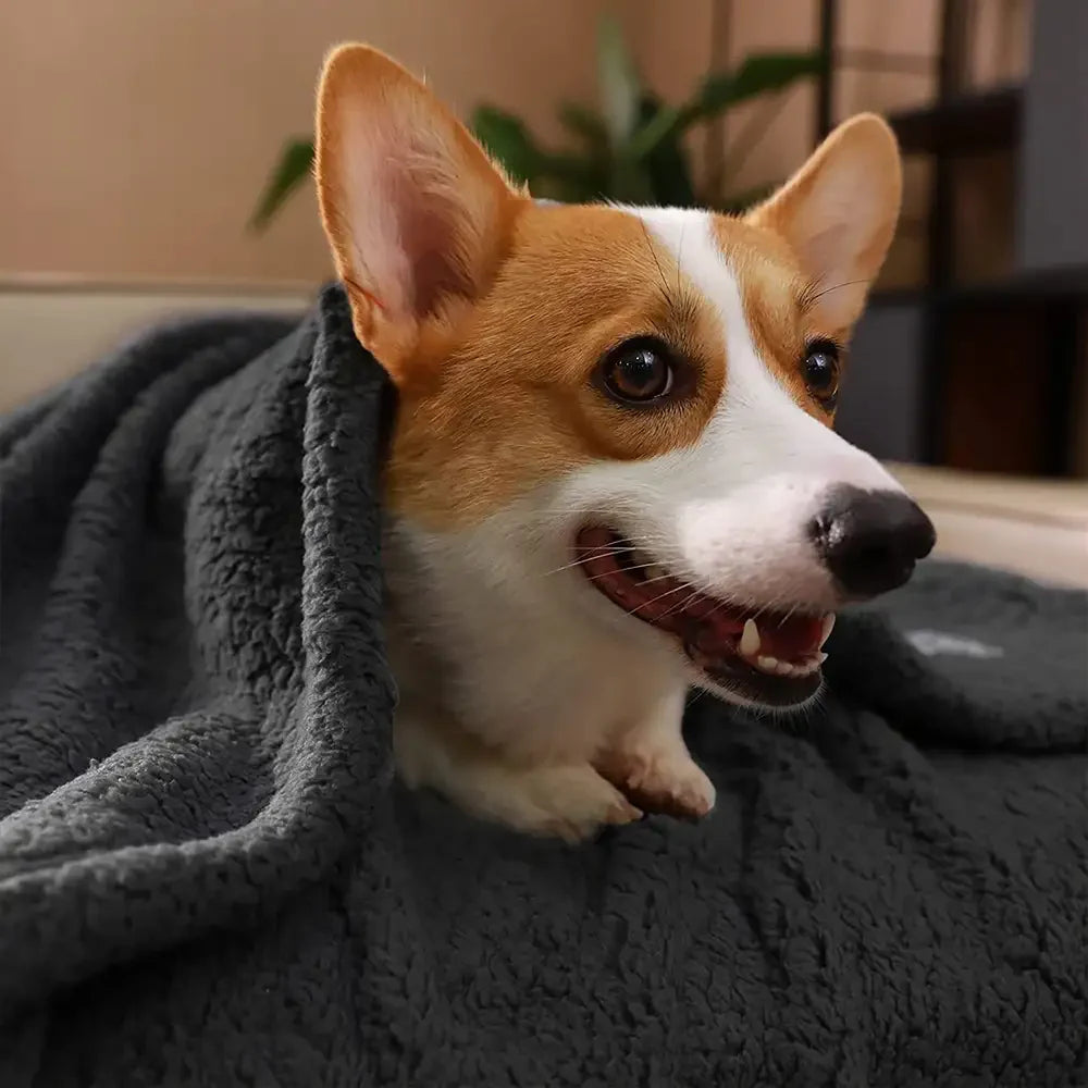 Polar Fleece Comfortable Warm Multifunctional Pet Blanket