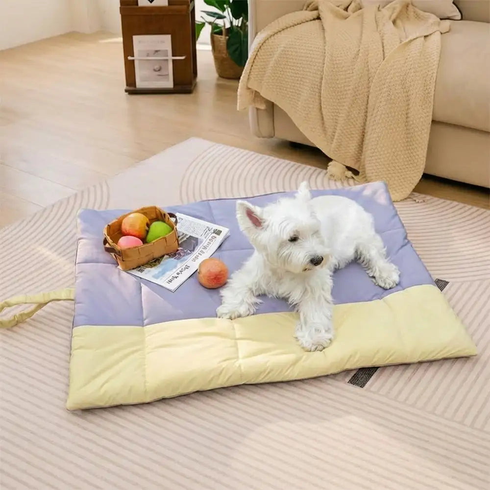 Tragbare, faltbare, doppelseitige, wasserabweisende Hundematte für Outdoor, Reisen & Camping