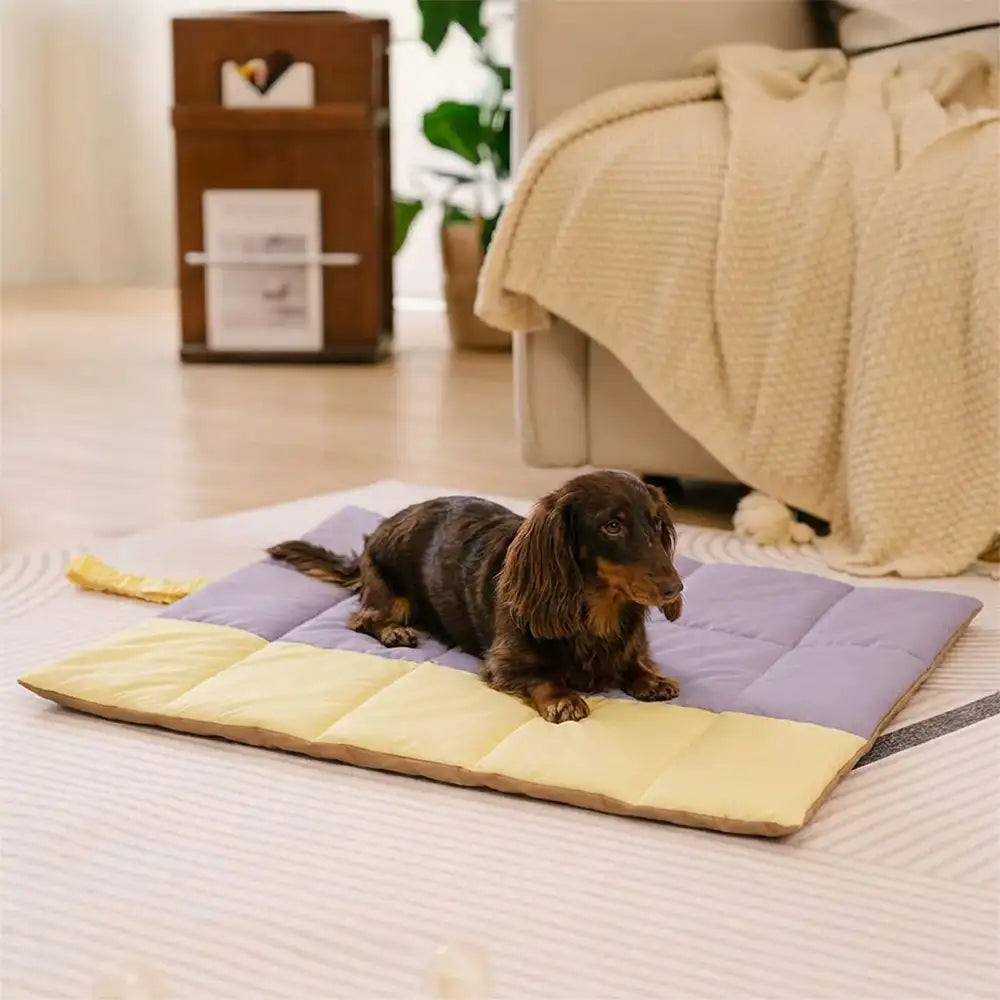 Tragbare, faltbare, doppelseitige, wasserabweisende Hundematte für Outdoor, Reisen & Camping