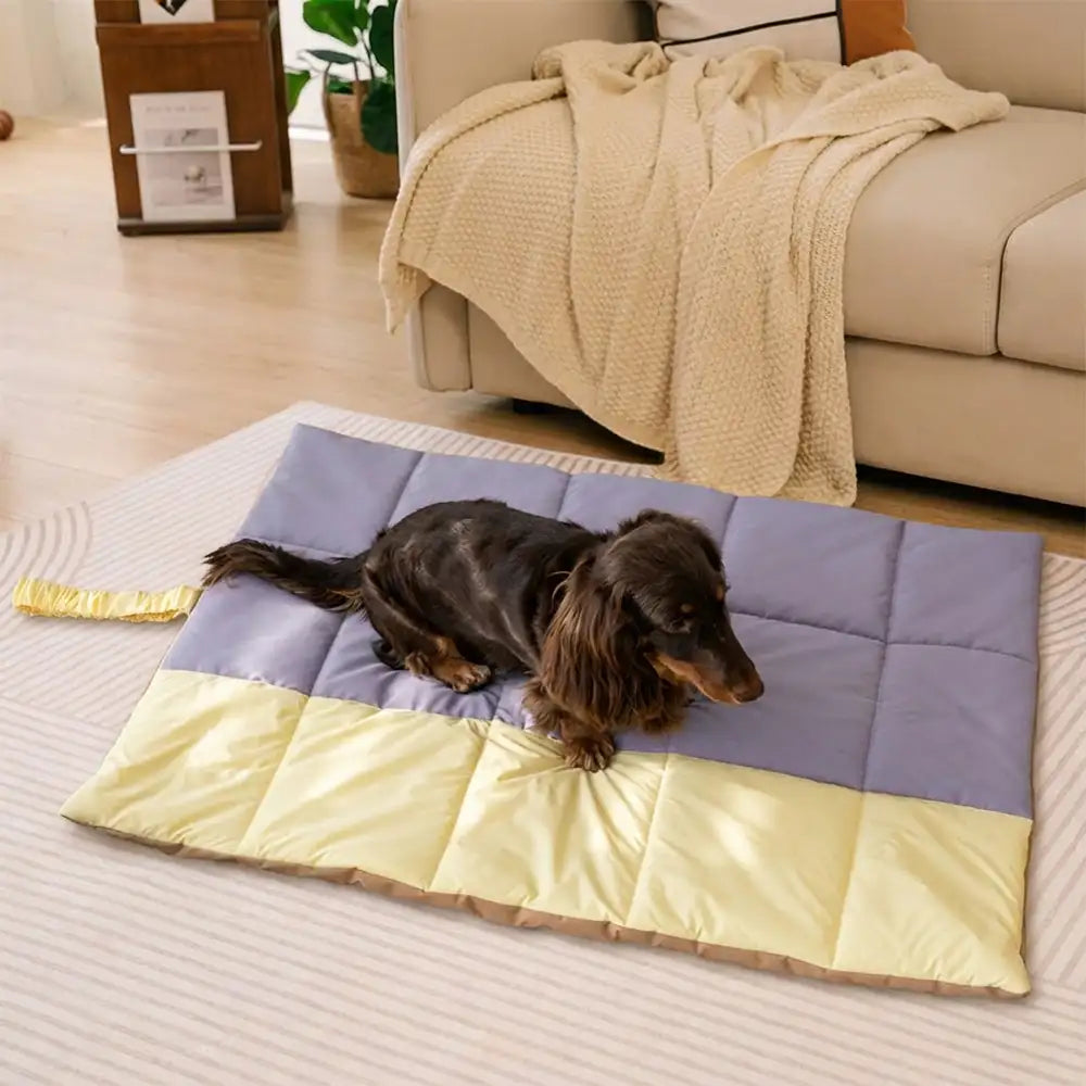 Tragbare, faltbare, doppelseitige, wasserabweisende Hundematte für Outdoor, Reisen & Camping