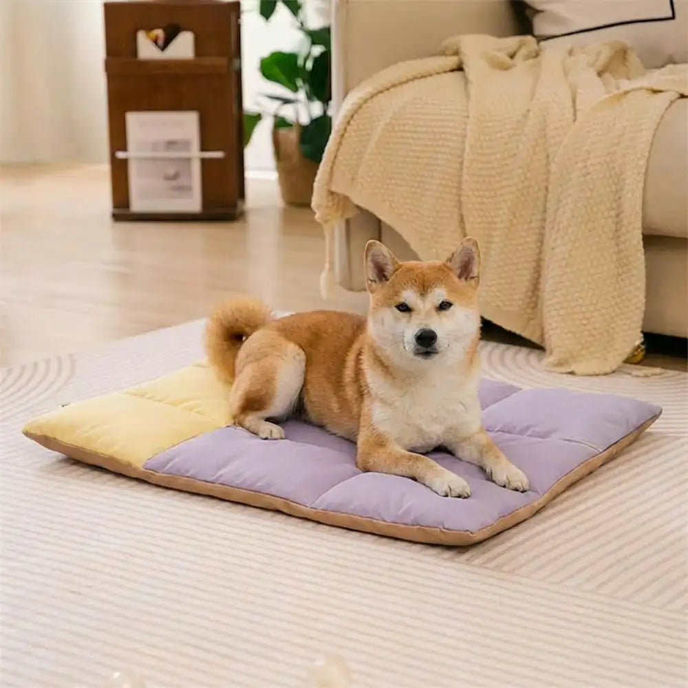 Tragbare, faltbare, doppelseitige, wasserabweisende Hundematte für Outdoor, Reisen & Camping