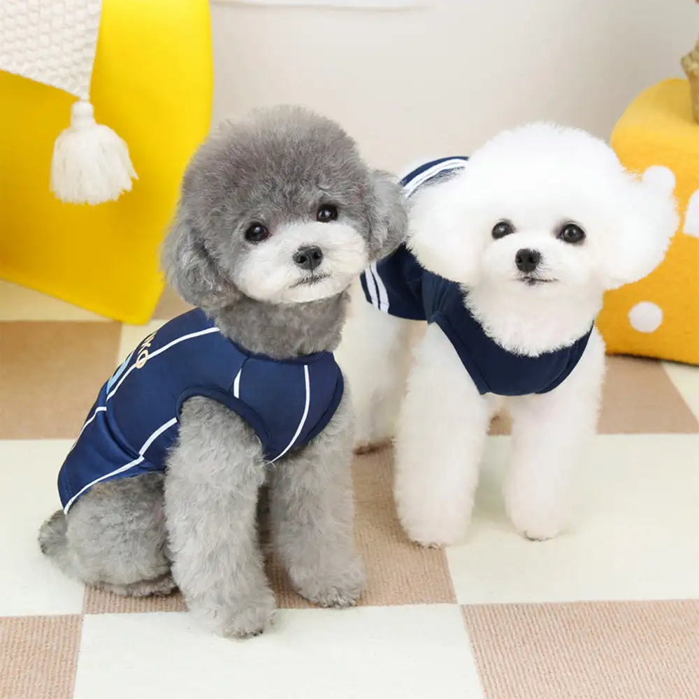 Hundeshirt und Kleid im Sport-Stil, atmungsaktiv