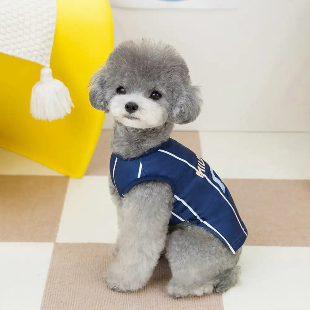 Hundeshirt und Kleid im Sport-Stil, atmungsaktiv