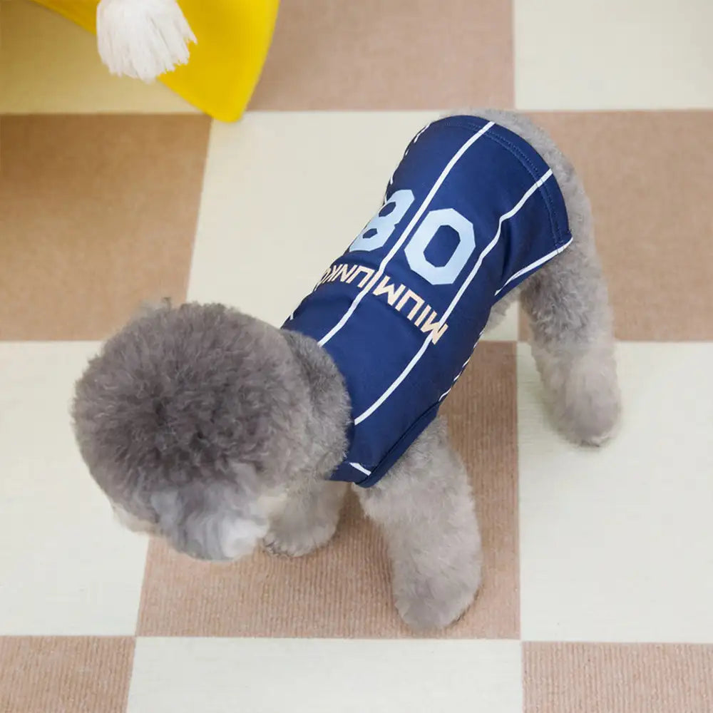 Hundeshirt und Kleid im Sport-Stil, atmungsaktiv