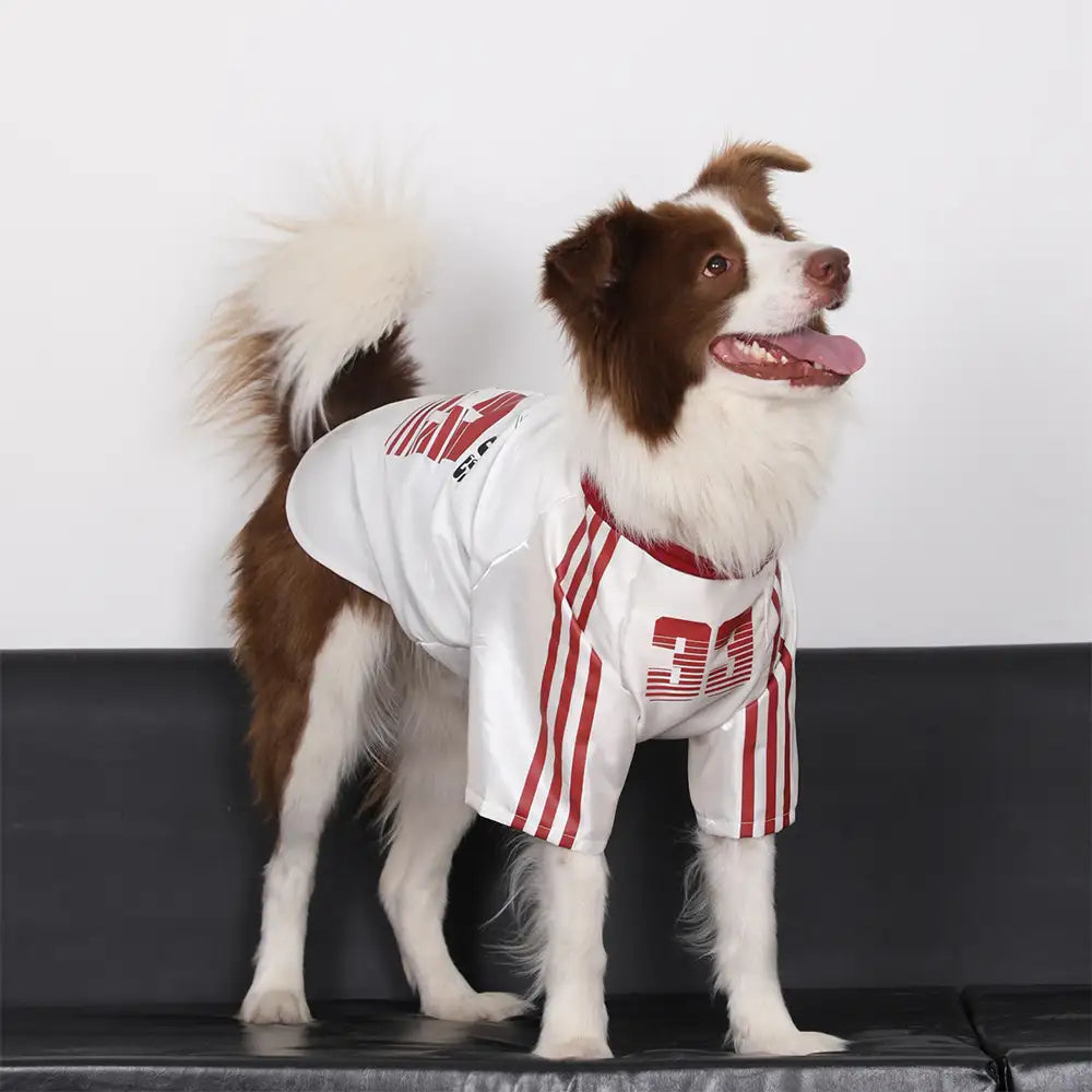 Gestreiftes Retro-Reflektierendes Hunde-T-Shirt für alle Rassen