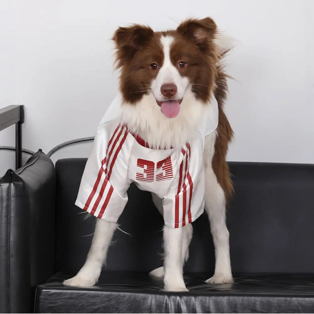 Gestreiftes Retro-Reflektierendes Hunde-T-Shirt für alle Rassen