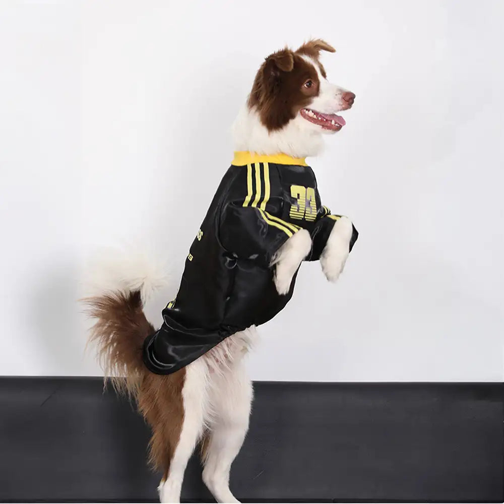 Gestreiftes Retro-Reflektierendes Hunde-T-Shirt für alle Rassen