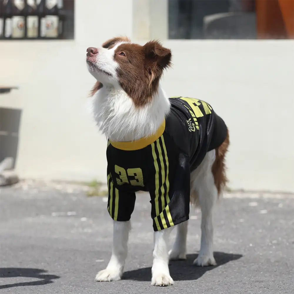 Gestreiftes Retro-Reflektierendes Hunde-T-Shirt für alle Rassen