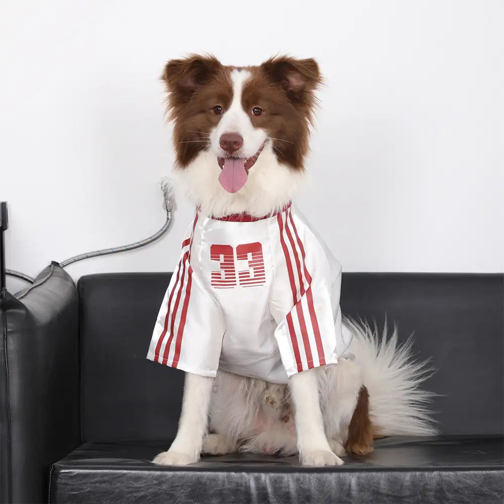 Gestreiftes Retro-Reflektierendes Hunde-T-Shirt für alle Rassen