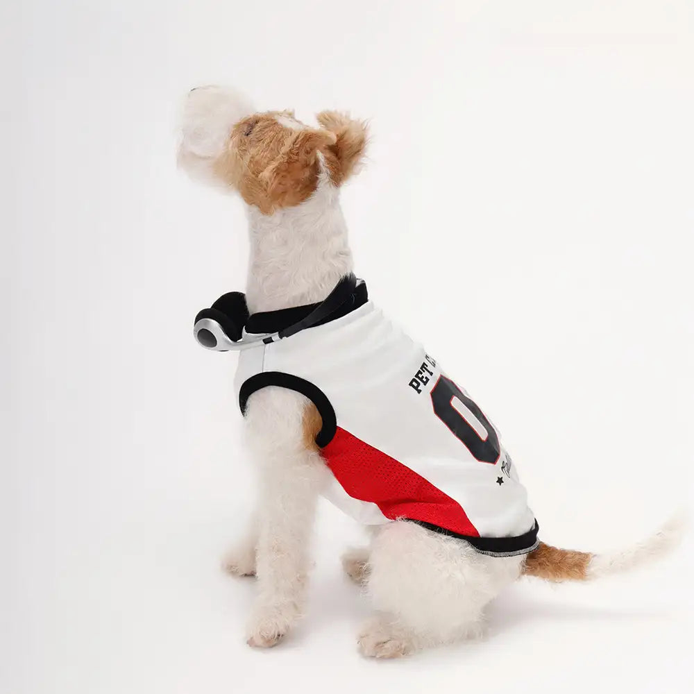 Stylische atmungsaktive Color-Blocked Hundeweste