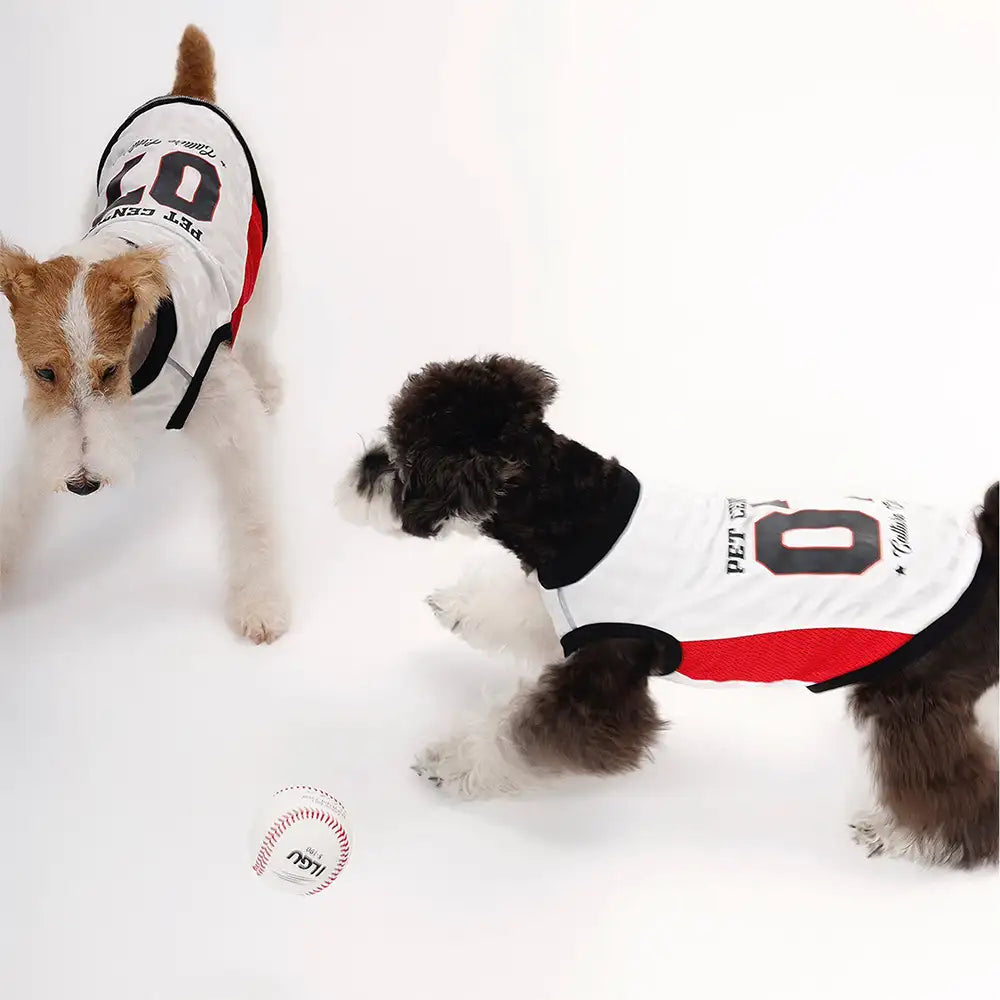 Stylische atmungsaktive Color-Blocked Hundeweste