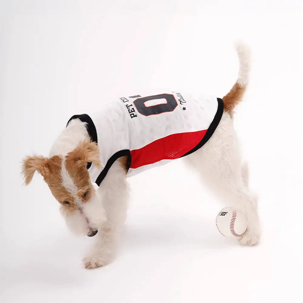 Stylische atmungsaktive Color-Blocked Hundeweste