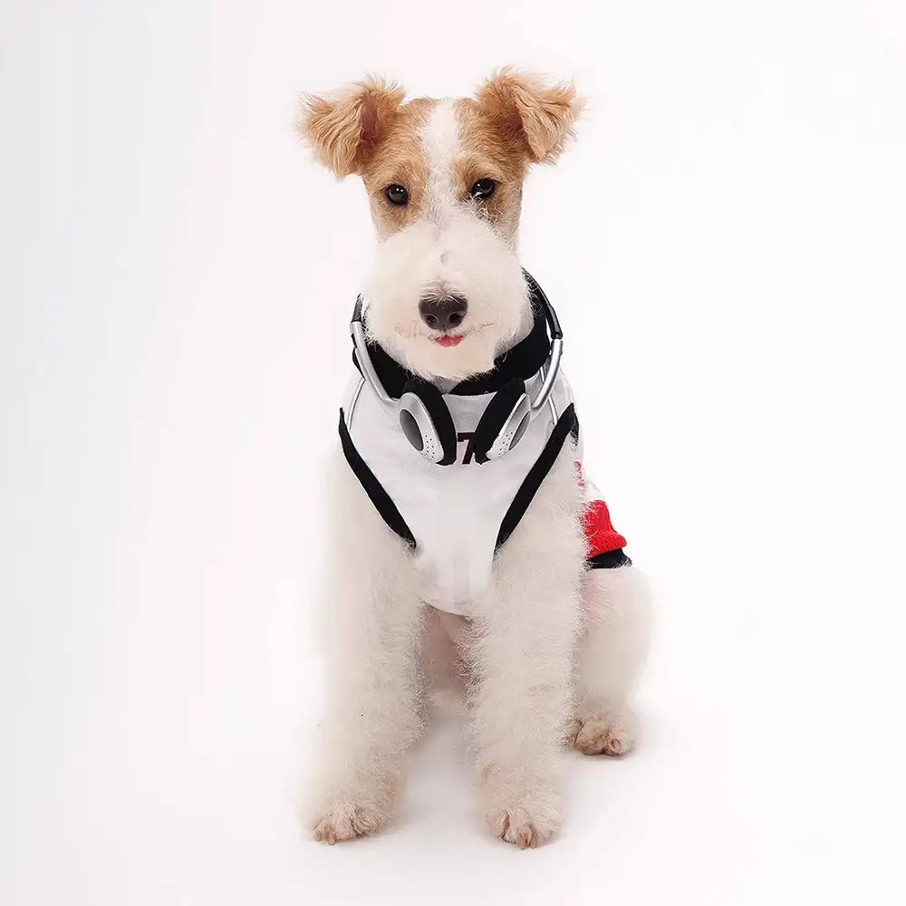 Stylische atmungsaktive Color-Blocked Hundeweste